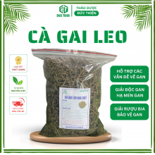 Cà gai leo – thảo dược giải độc gan, chống viêm, hỗ trợ viêm gan B