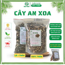Cây An Xoa khô – thảo dược thanh nhiệt, giải độc gan