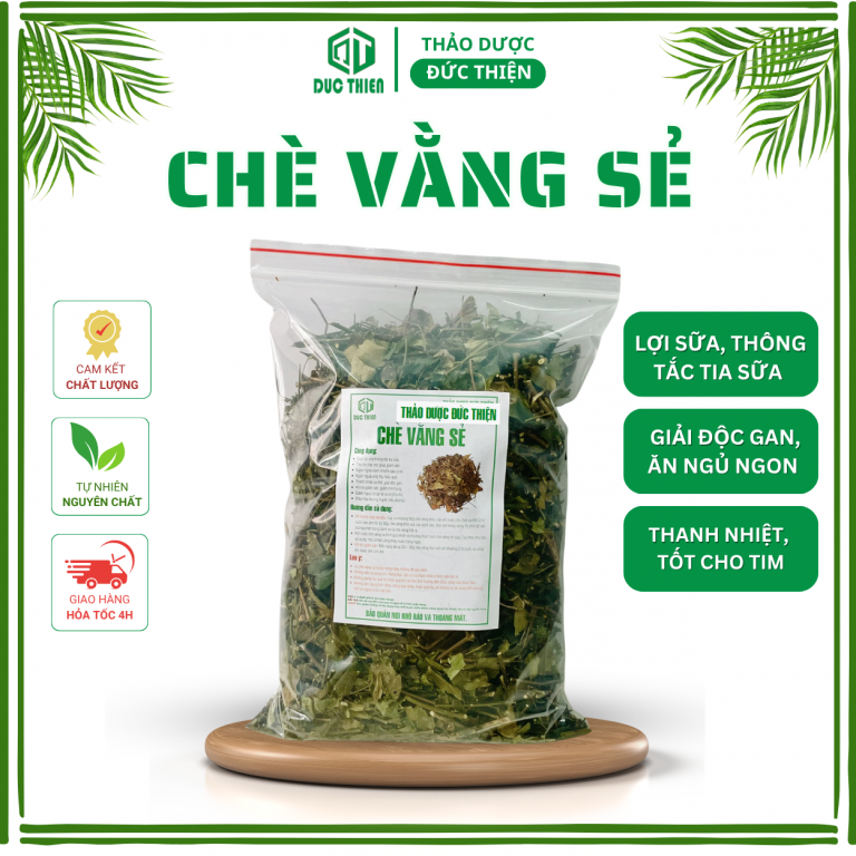 Chè vằng sẻ – thảo dược lợi sữa, thanh nhiệt, tiêu viêm