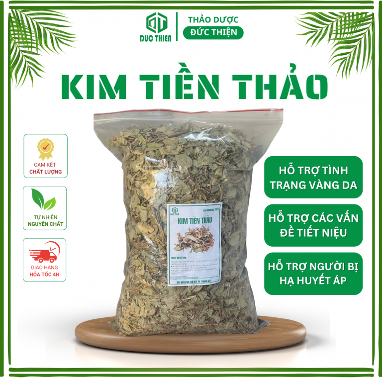 Kim tiền thảo – thảo dược hỗ trợ trị sỏi thận, lợi tiểu