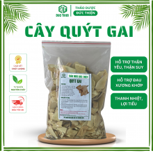 Quýt Gai loại 1 – Hỗ trợ giảm cân, làm đẹp, tiêu độc