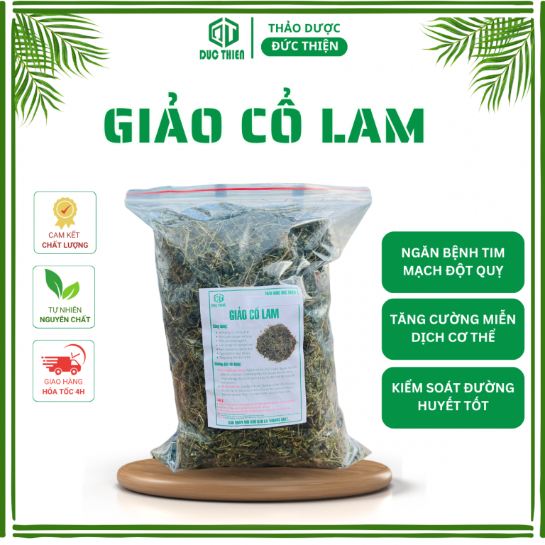 Giảo cổ lam – thảo dược giải độc, hạ huyết áp