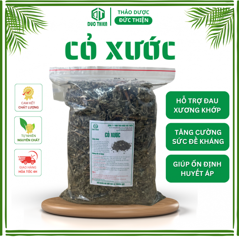 Cỏ xước khô – thảo dược lợi tiểu, giảm đau xương khớp