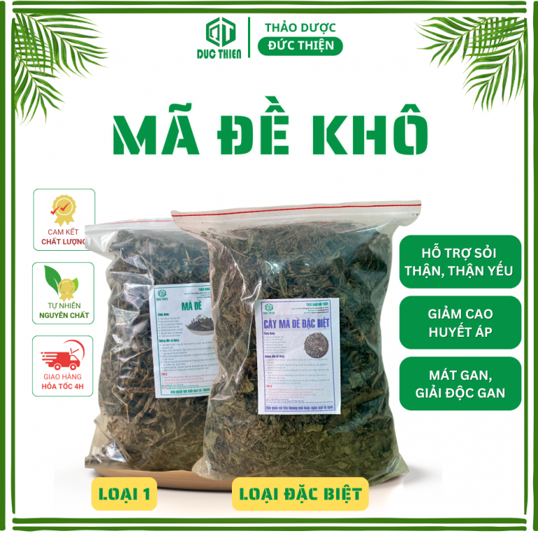 Mã đề khô – thảo dược lợi tiểu, giải độc gan