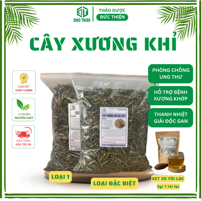 Cây xương khỉ – thảo dược mát gan, hỗ trợ giảm đau xương khớp