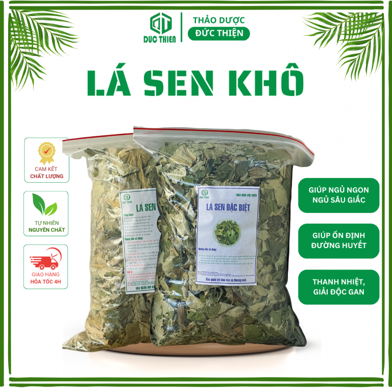 Lá sen – thảo dược lợi tiểu, hạ huyết áp