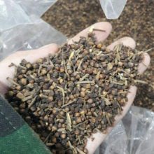 Nụ Vối loại 1 – Hỗ trợ mỡ máu, huyết áp, thanh nhiệt, giải độc, mát gan