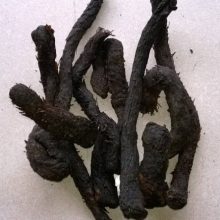 Nhục Thung Dung loại 1 – Bổ thận, tráng dương, tăng cường sinh lý nam, hỗ trợ hiếm muộn, chống lão hóa