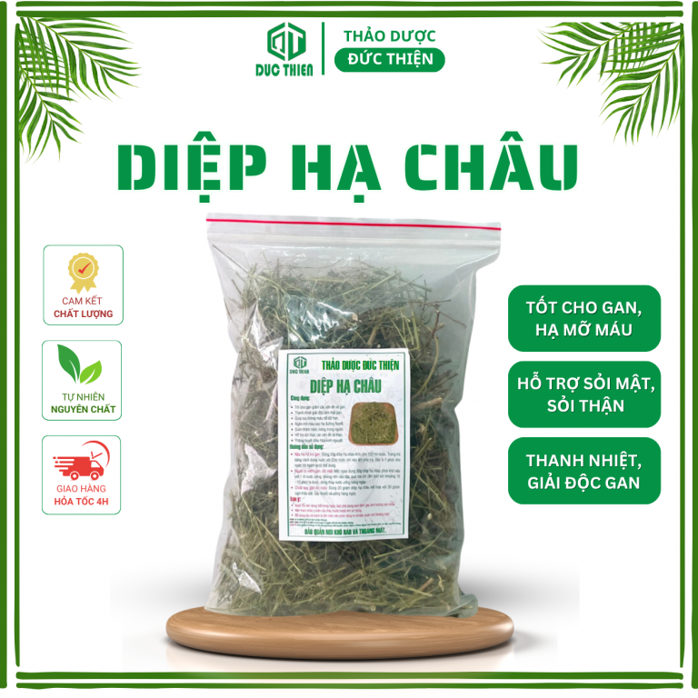 Diệp hạ châu – thảo dược giải độc, lợi tiểu