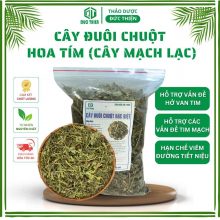 Cây Đuôi Chuột (Mạch Lạc) loại 1, đặc biệt – Hỗ trợ hở van tim, đường huyết, dạ dày