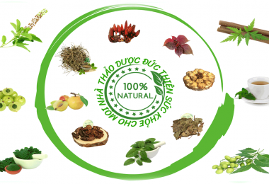 Ăn Sung Khô Mỗi Ngày — Bí quyết giảm cân, hết táo bón cho phụ nữ bận rộn