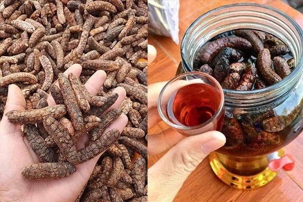 chuối hột rừng ngâm rượu có tác dụng gì