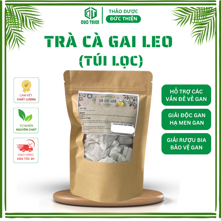 Trà cà gai leo túi lọc Đức Thiện hỗ trợ điều trị viêm gan, xơ gan