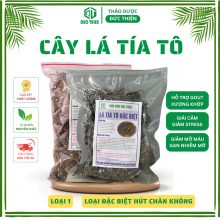 150gr Lá Tía Tô Khô Đặc Biệt Hút Chân Không – Hỗ Trợ Cảm Sốt, Đau Dạ Dày, Giảm Cân, Làm Đẹp Da