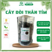 200gr Cây Thuốc Dòi Khô (Bọ Mắm Tím) – Hỗ Trợ Ho, Viêm Họng, Tắc Sữa, Thanh Nhiệt, Lợi Tiểu – Thảo Dược Đức Thiện
