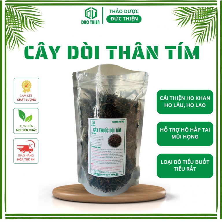 Cây thuốc dòi bọ mắm hỗ trợ ho, viêm họng