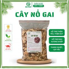 500gr Cây Nổ Gai Khô (Cây Cơm Nguội, Cây Phèn Trắng) Đức Thiện Loại 1 – Hỗ Trợ Gout, Thoái Hoá Đốt Sống, Xương Khớp