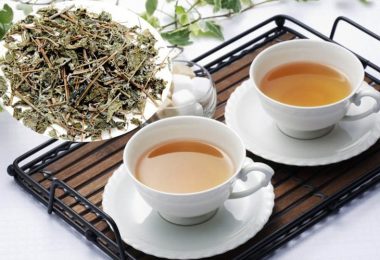 Chè dây – Lời giải dân gian cho căn bệnh dạ dày hiện đại