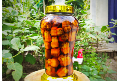 Ứng dụng DỨA DẠI trong y học cổ truyền: Lợi ích và cách dùng an toàn