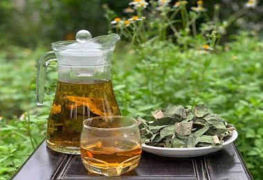 Phụ nữ hiện đại trị mất ngủ bằng thảo dược: An toàn mà hiệu quả