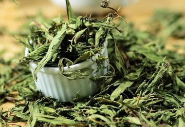 Người cao tuổi nên dùng cỏ ngọt thay đường mía – Lý do từ chuyên gia dinh dưỡng