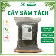 500gr Cây Nổ (Cây Sâm Tách Khô, Cây Sâm Đất) Loại 1 Đức Thiện (Khô, Sạch, Thơm) – Hỗ Trợ Thận, Sỏi Bàng Quang & Lợi Tiểu